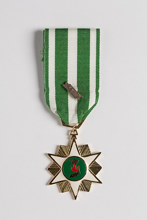 Vietnam Campaign Medal